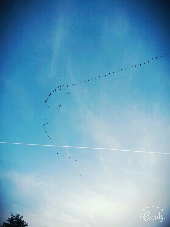 sky☁☁