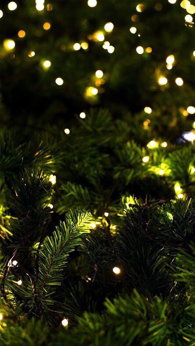 New Year is coming:)