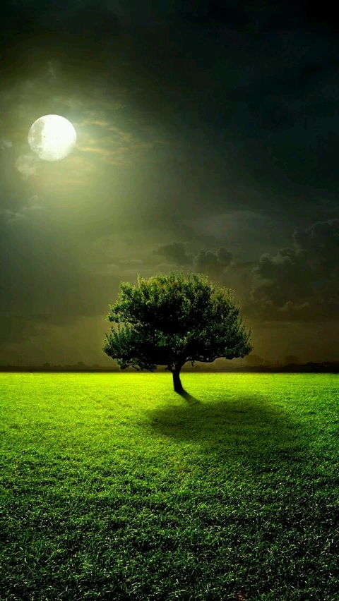 nature