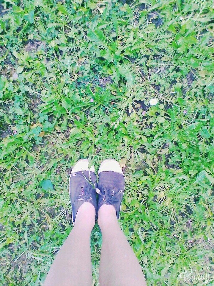 #été #bensimon #dehors #herbes