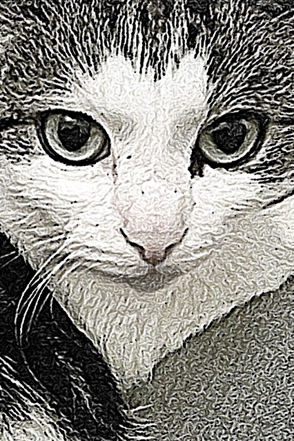 ma chérie