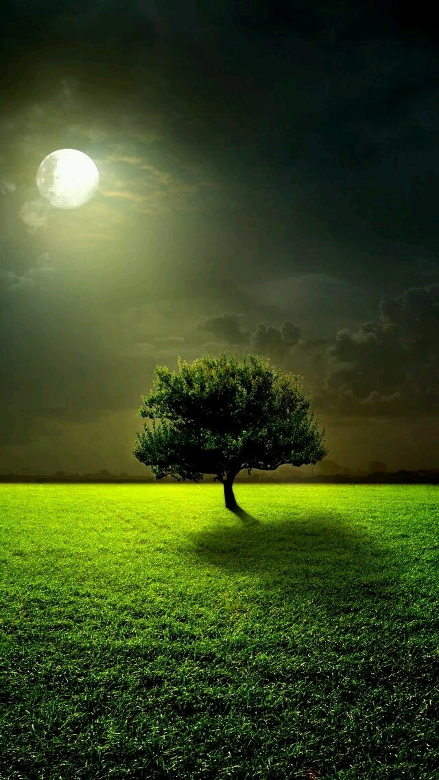 nature