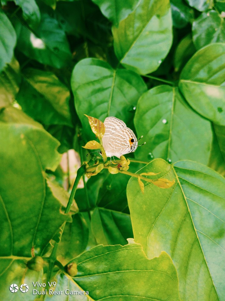 Love Nature