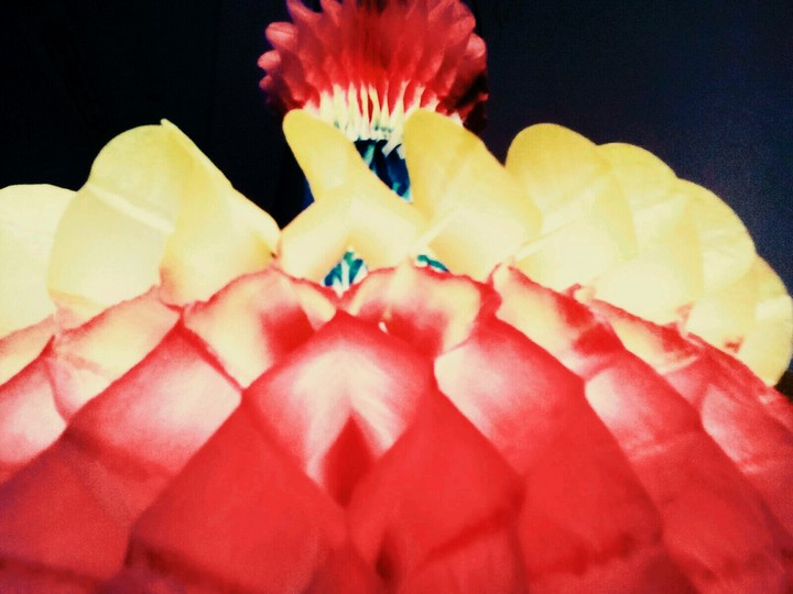 Big FLOWER