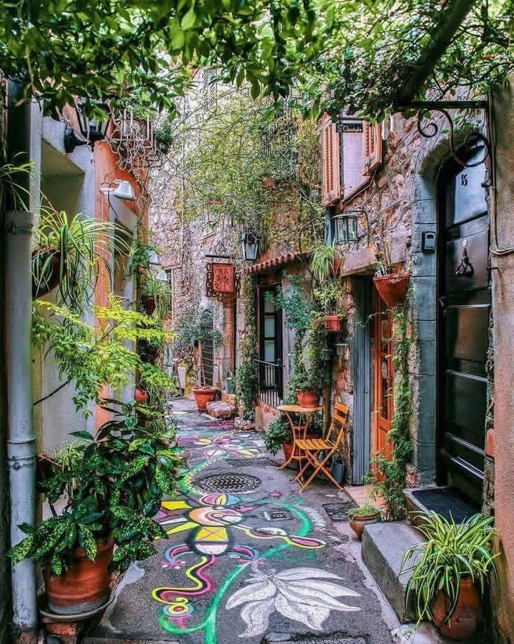 tapety plants, Door