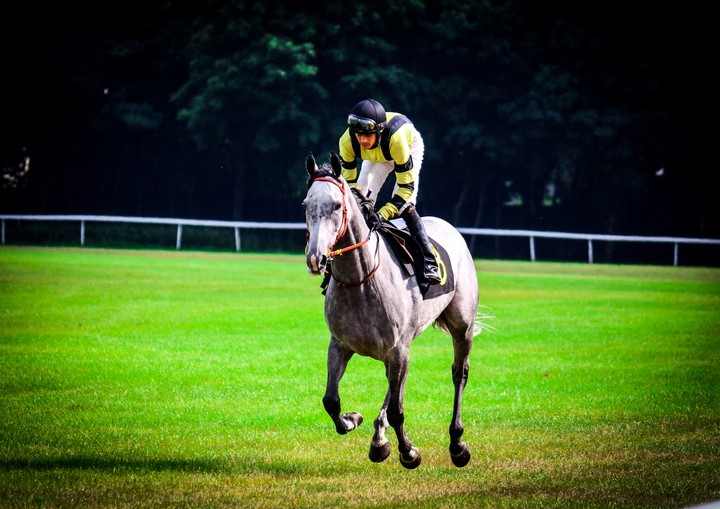 Horse Race