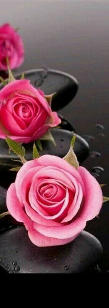 rosy..