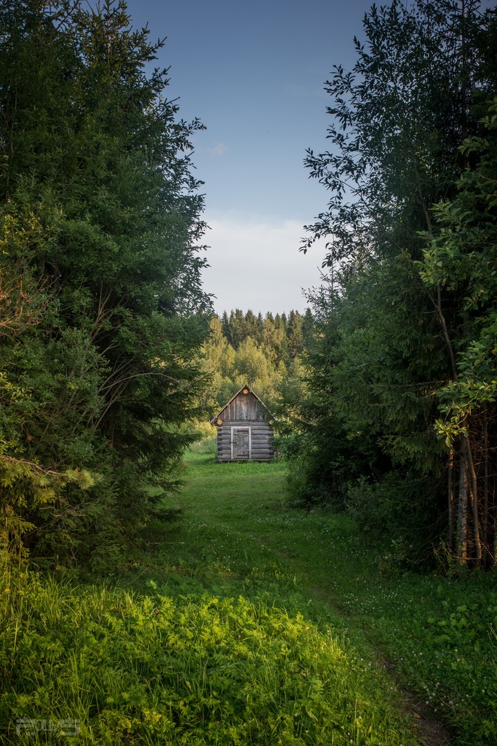 House in the woods
