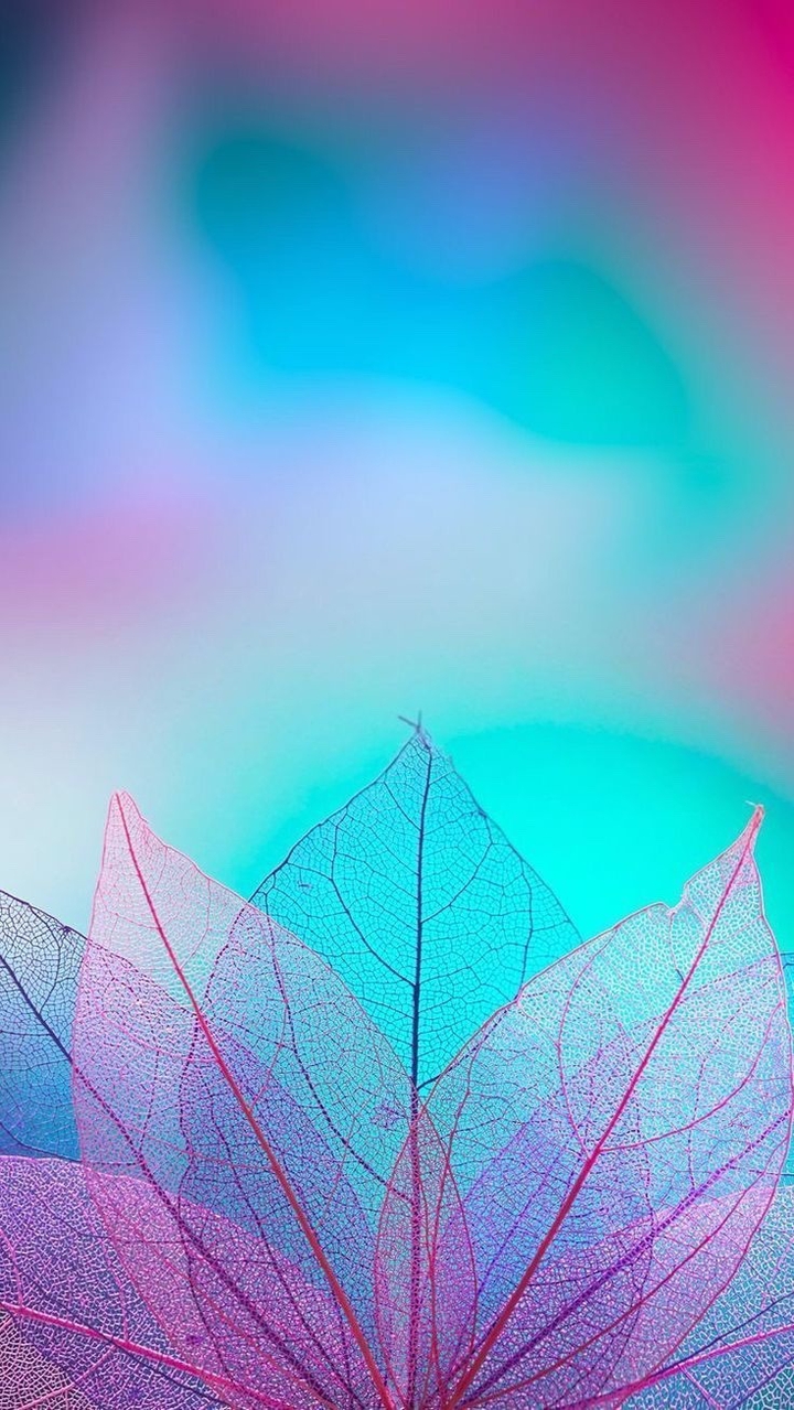 leafe