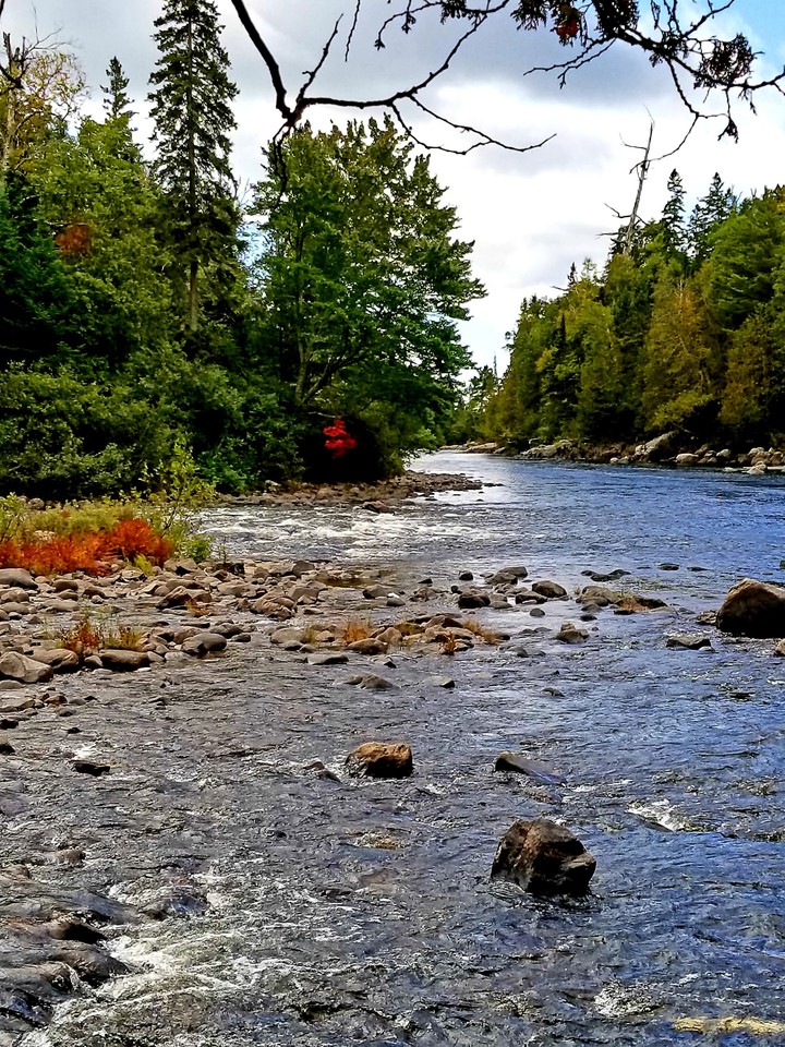 Autumn river scene