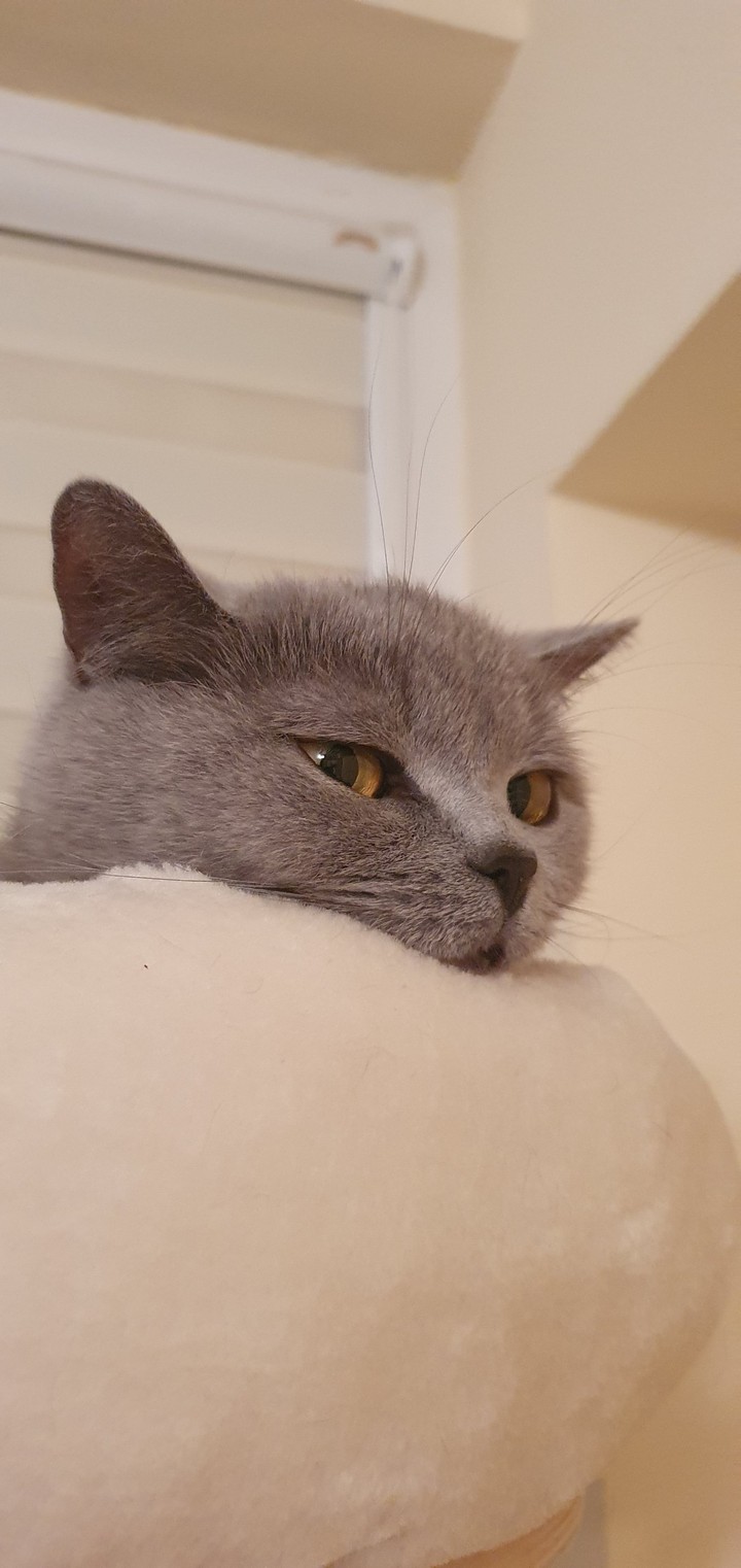 Elizabeth