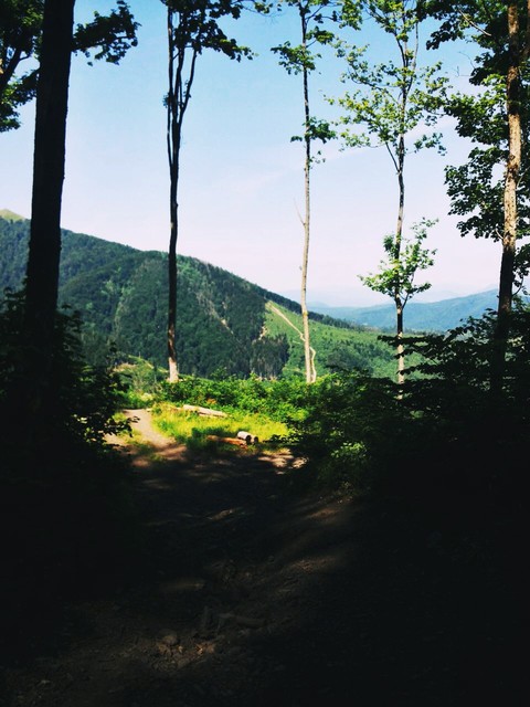 Nature