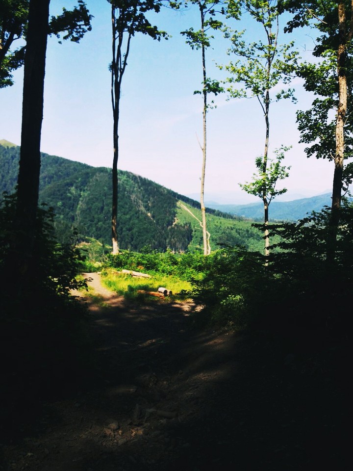 Nature