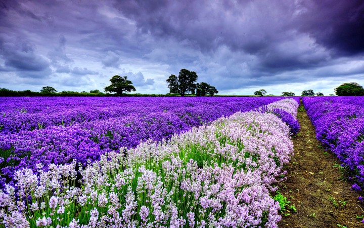 Nature