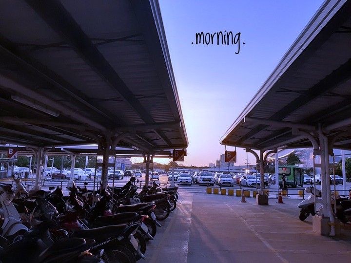 morning