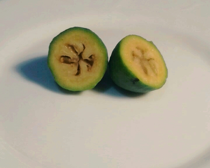 Feijoa
