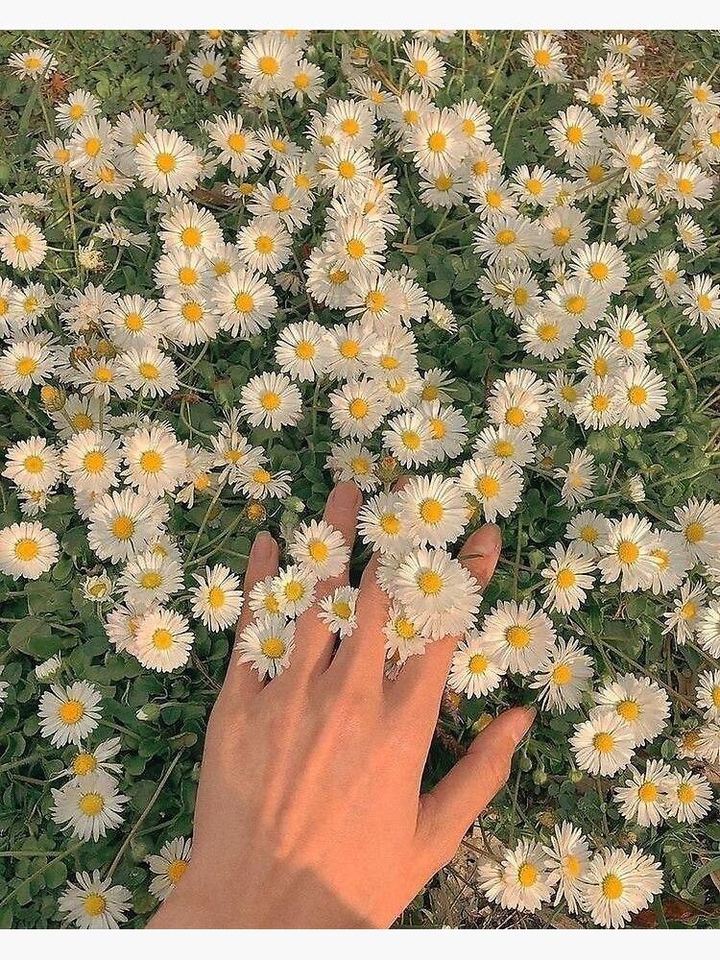 flowers.
