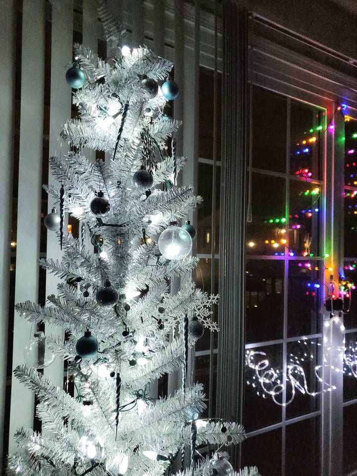 Studio Sized Christmas