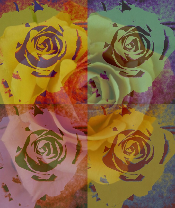 5 Roses
