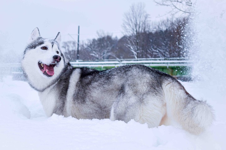 ❤️❄️❤️