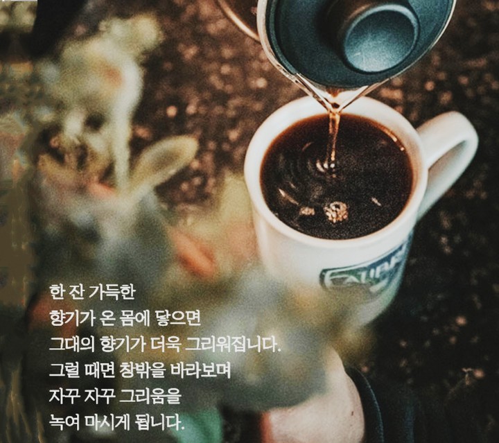 커피향과나