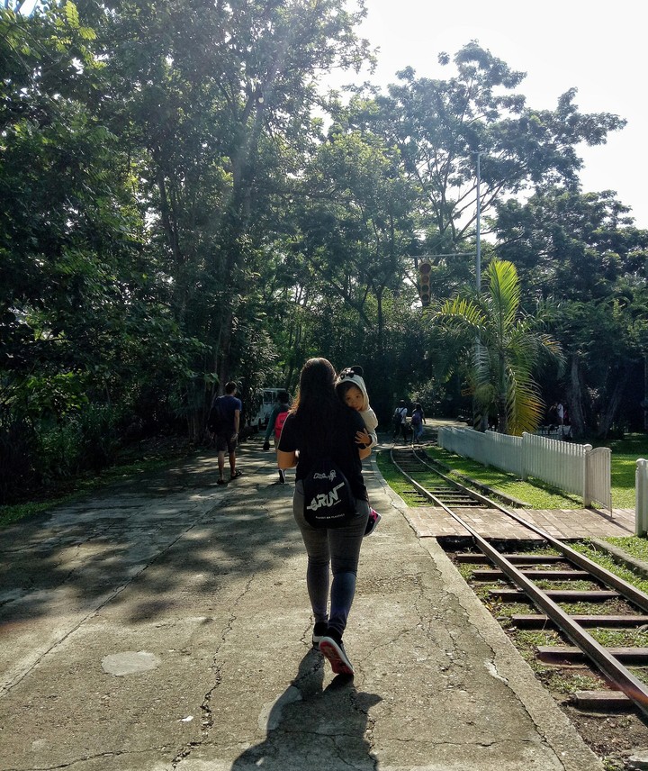 Walk