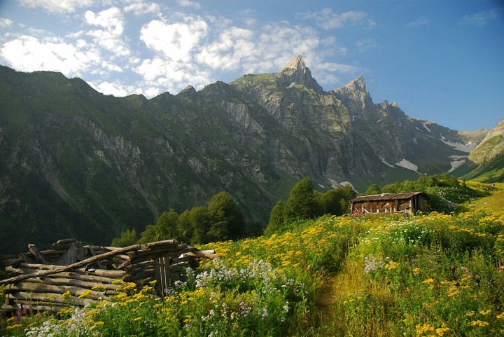 Georgia