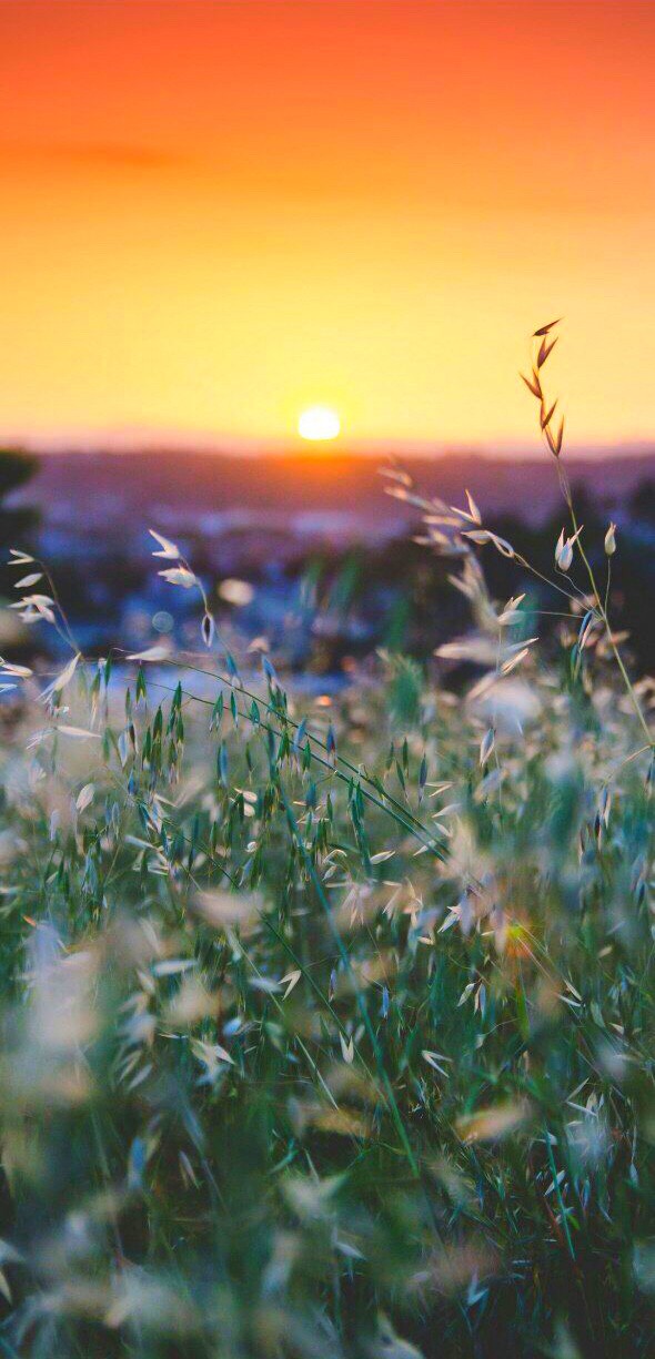 #Sunset_and_sunrise