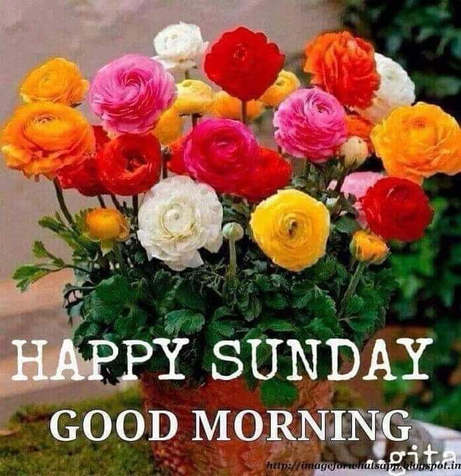 good morning