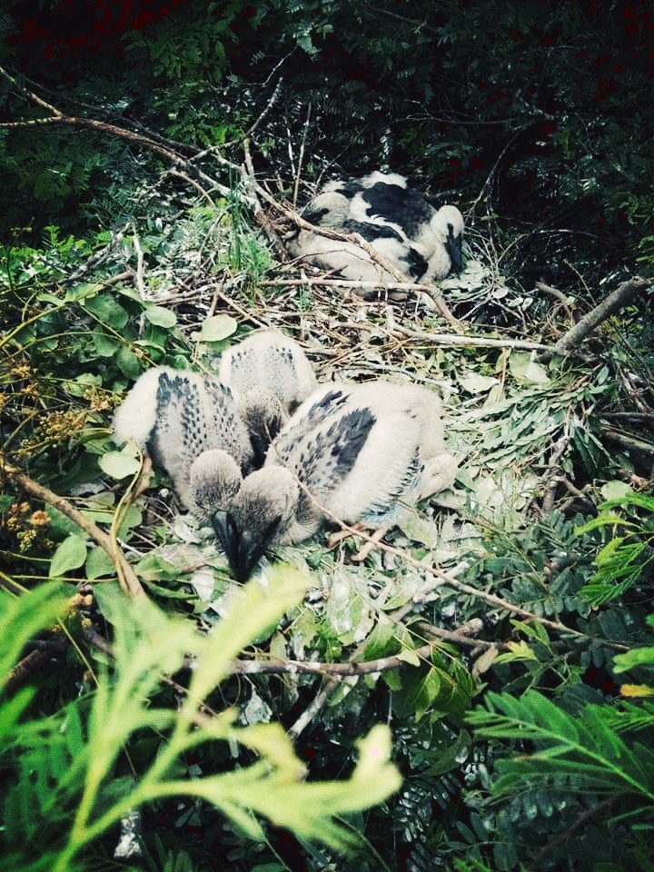 Migrated 