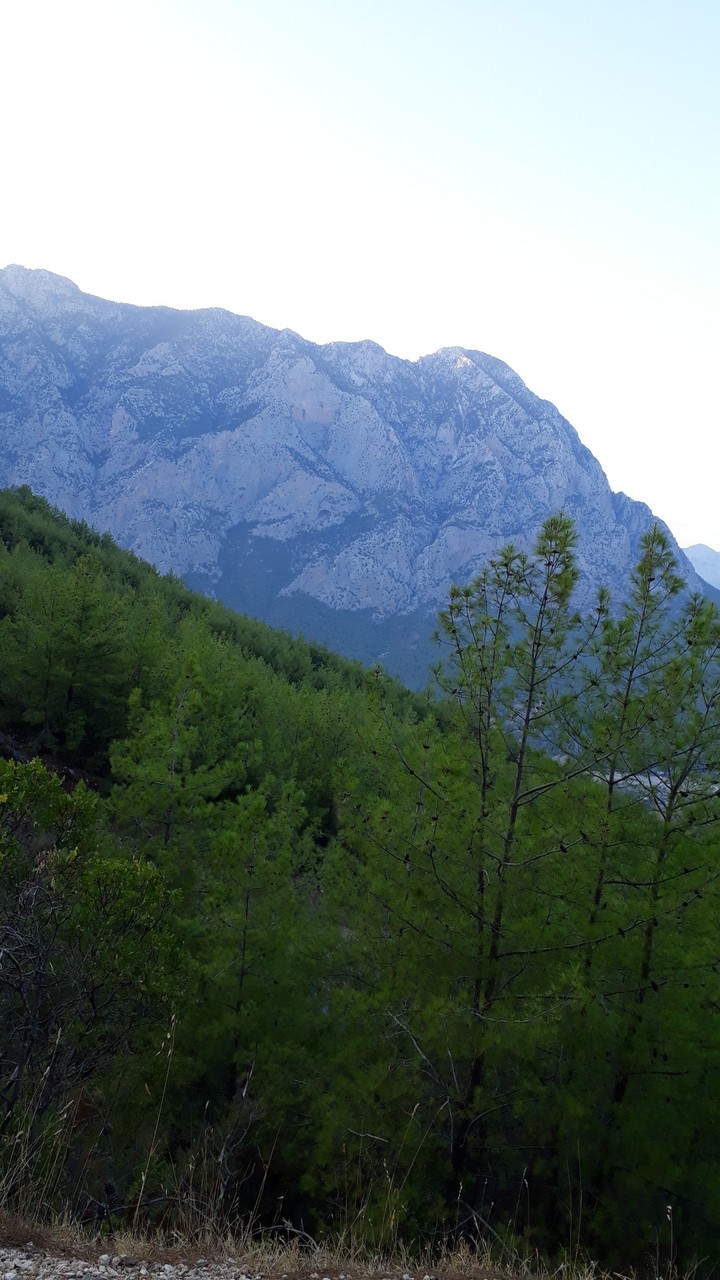 dağlar