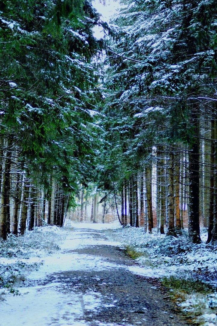 snow road