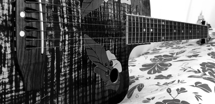 Love Guitare