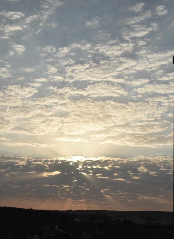 Sunrise