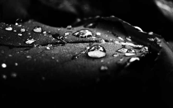 Black & White