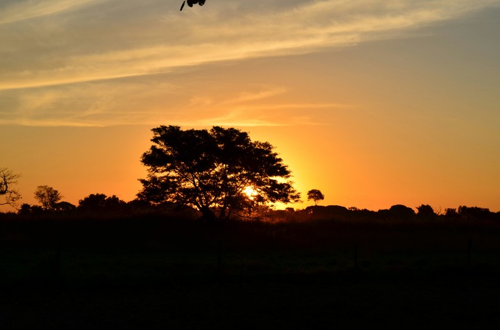 Fim de tarde