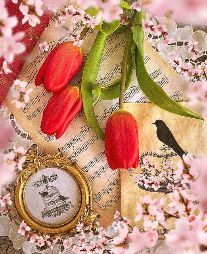 tulips...