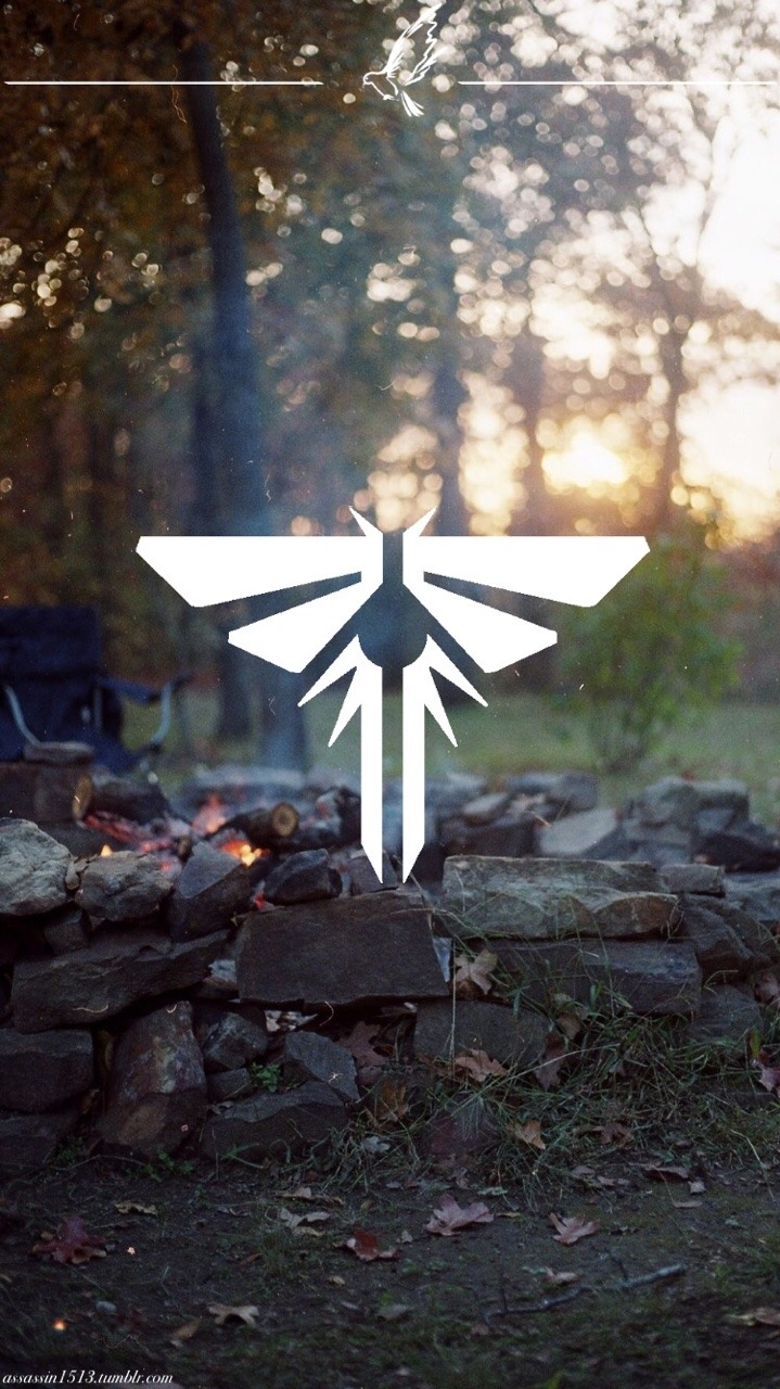 firefly