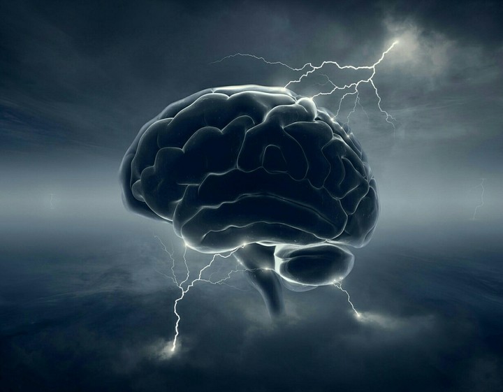 Brain