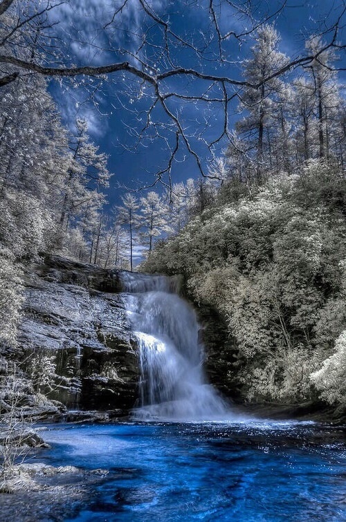 Winter