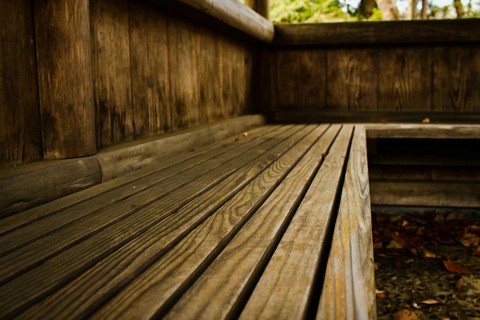 bench