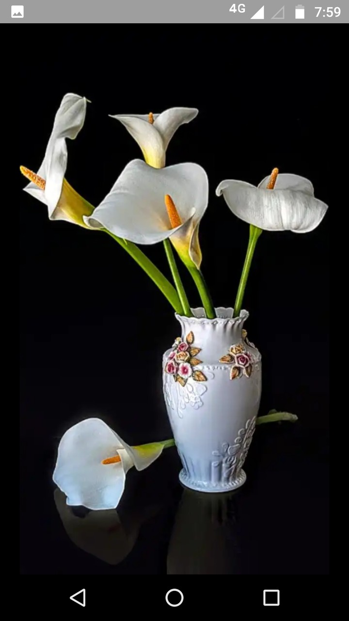 beautiful