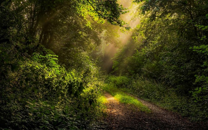 path