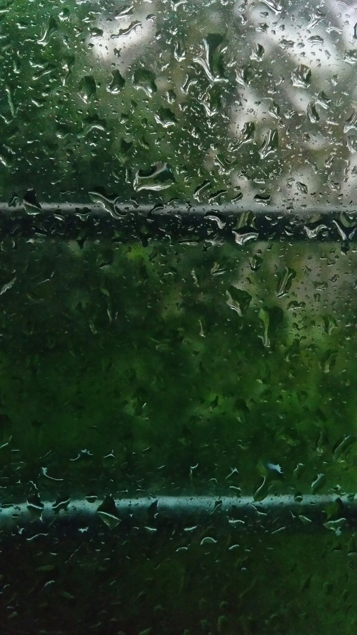 Rainy day