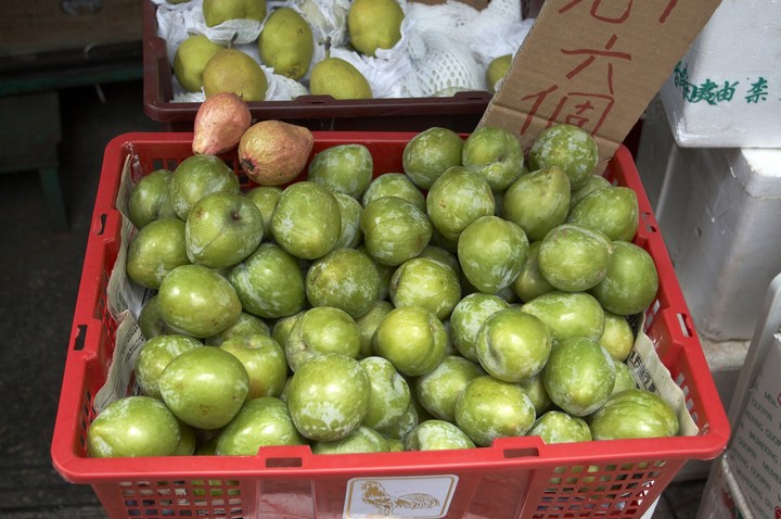 Tropical Fruit