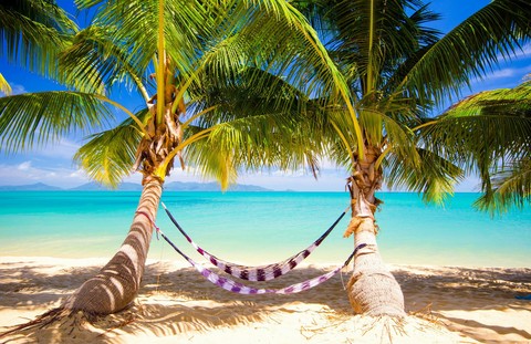 PALM,BEACH AND RELAXATION
