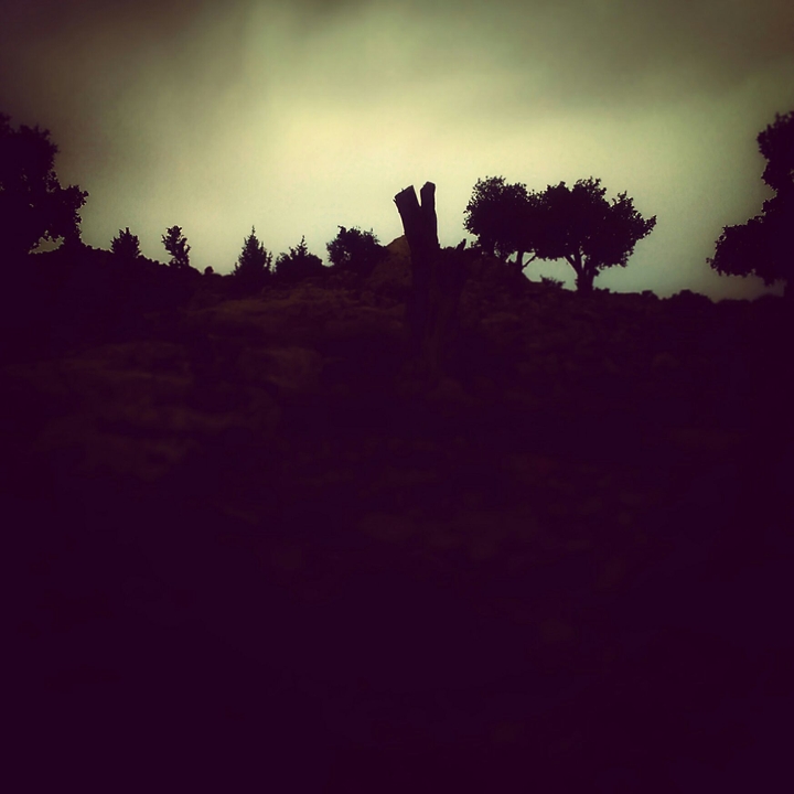 Newlife
