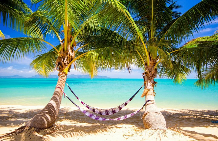 PALM,BEACH AND RELAXATION