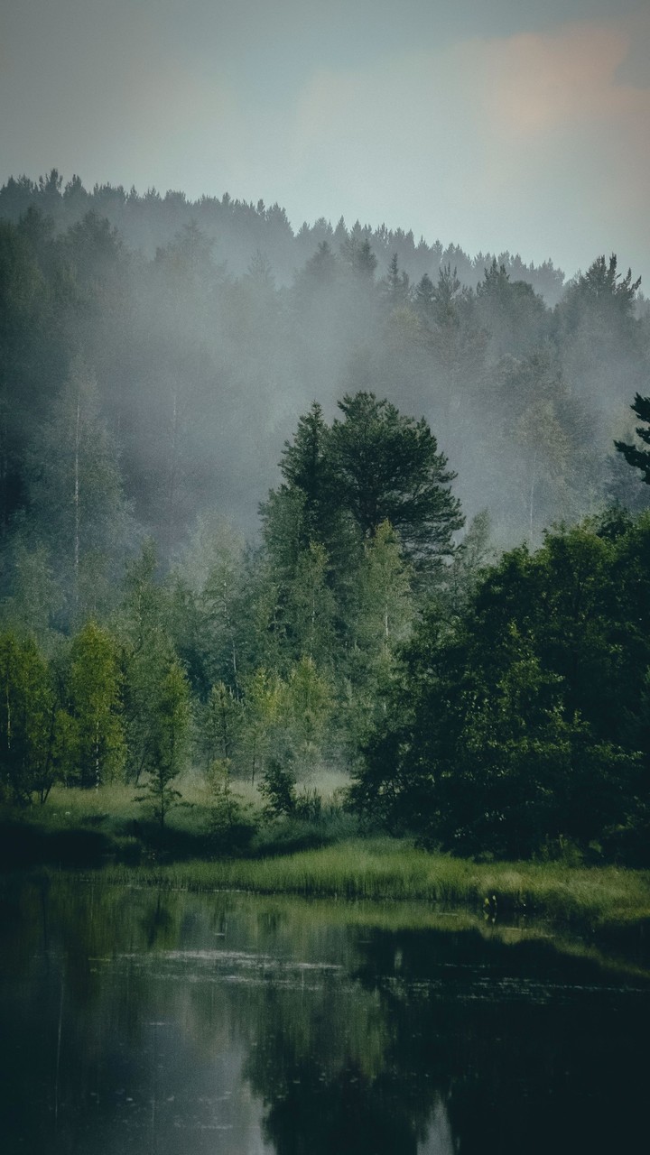Bank, nature Hintergrundbilder
