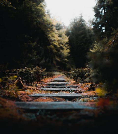 Lost Rail